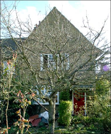 26 Asmuns Place